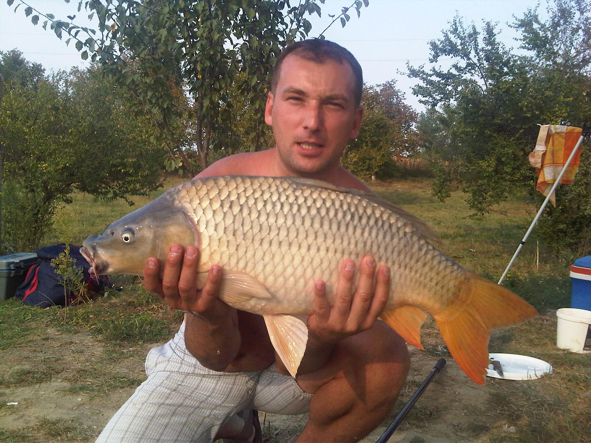 2013 - img00179-20110916-1658.jpg